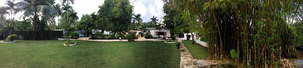 San San Tropez Hotel Port Antonio Exterior foto